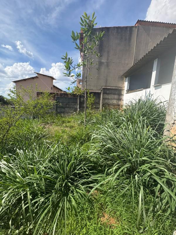 Casa, Parque Elizabeth, 3 Quartos, 1 Vaga