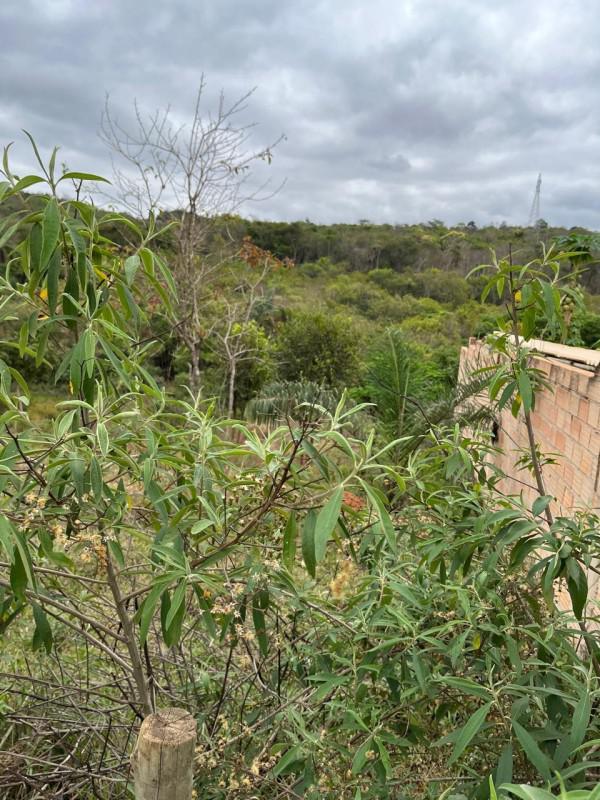 Fazenda, Zona Rural, 0 Quarto, 0 Vaga