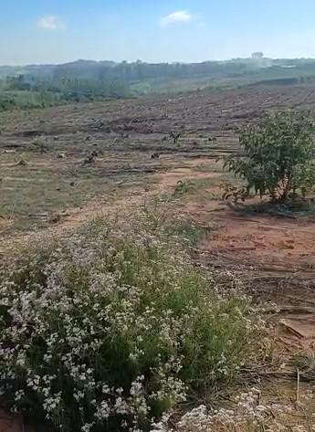 Fazenda, Zona Rural, 1 Quarto, 0 Vaga