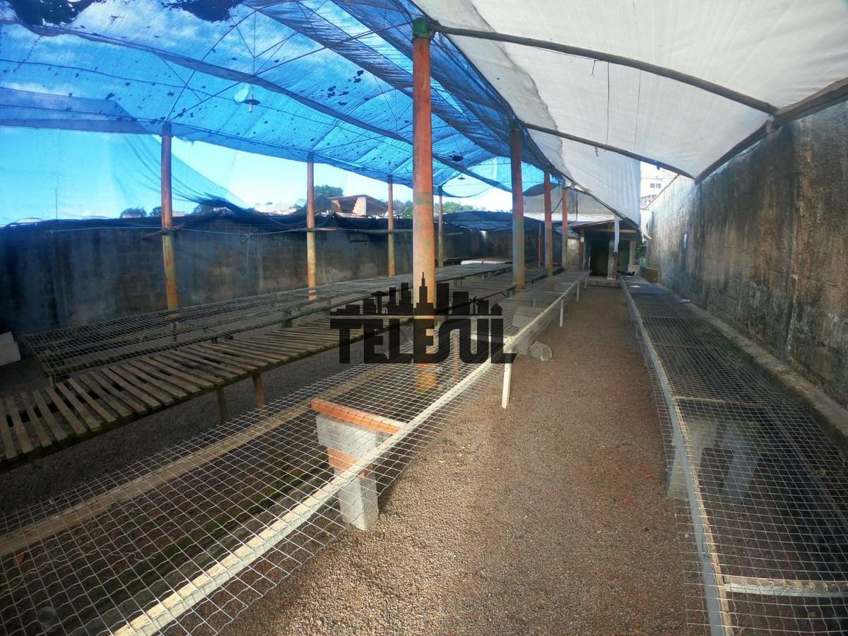 Lote, Parque Boa Vista, 0 Quarto, 0 Vaga