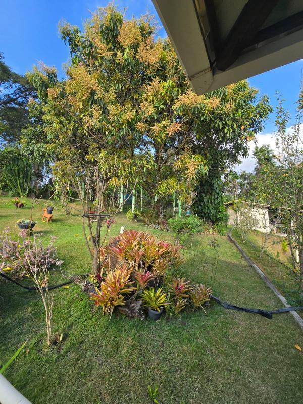 Fazenda, Gentileza, 4 Quartos, 10 Vagas, 1 Suíte