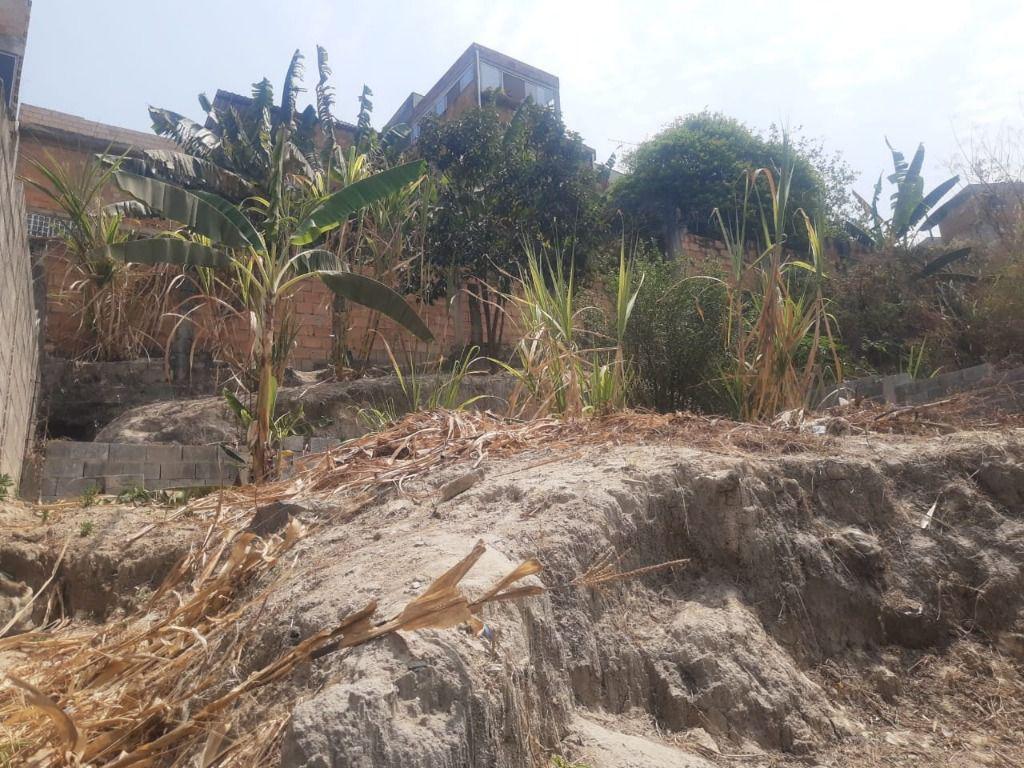 Lote, Nossa Senhora de Fátima, 0 Quarto, 0 Vaga