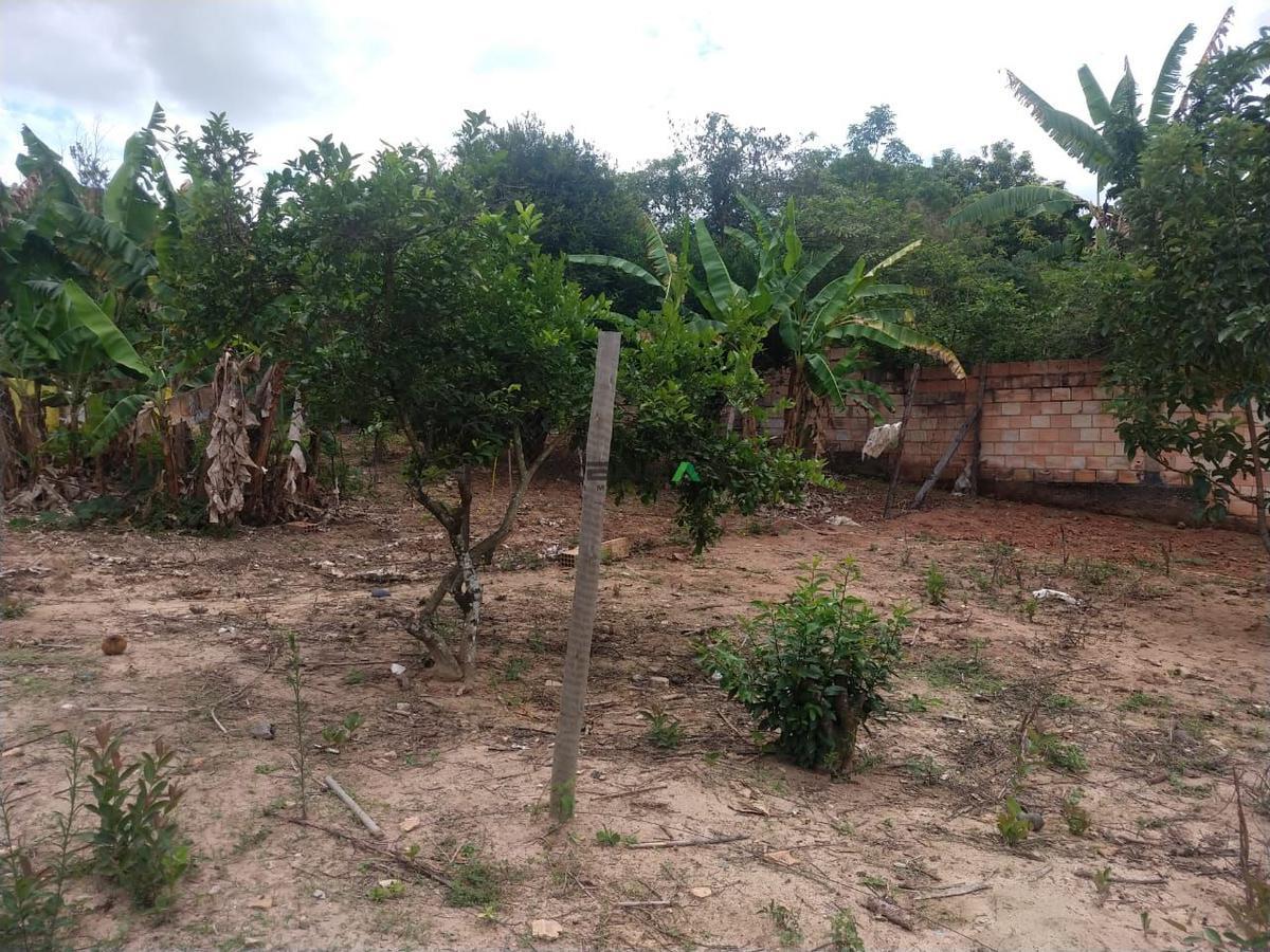 Lote, Tropeiros, 0 Quarto, 0 Vaga