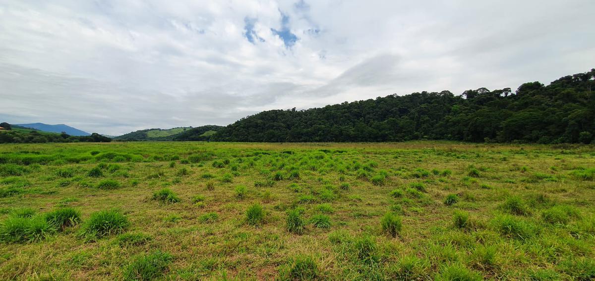 Fazenda, Centro, 4 Quartos, 2 Vagas, 1 Suíte