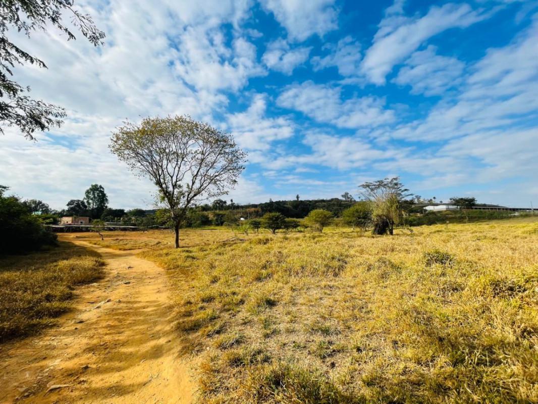 Lote, Lagoa dos Mares, 0 Quarto, 0 Vaga
