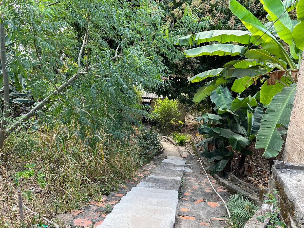 Galpão, São Francisco, 1 Quarto, 6 Vagas