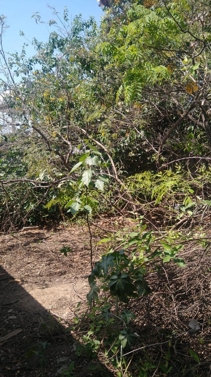 Lote, Chácaras Reunidas Santa Terezinha, 0 Quarto, 0 Vaga