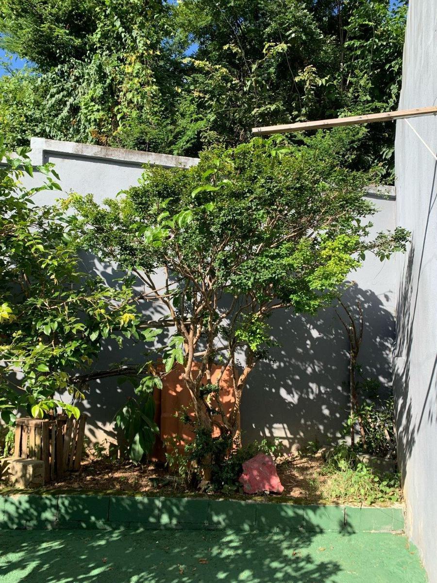 Casa, Solimões, 5 Quartos, 3 Vagas, 1 Suíte