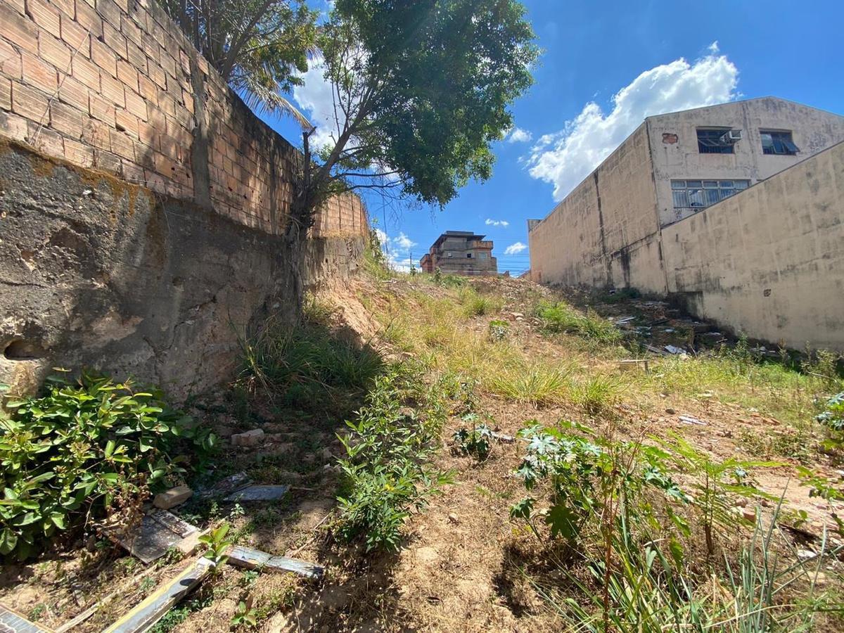 Lote, Cachoeirinha, 0 Quarto, 0 Vaga