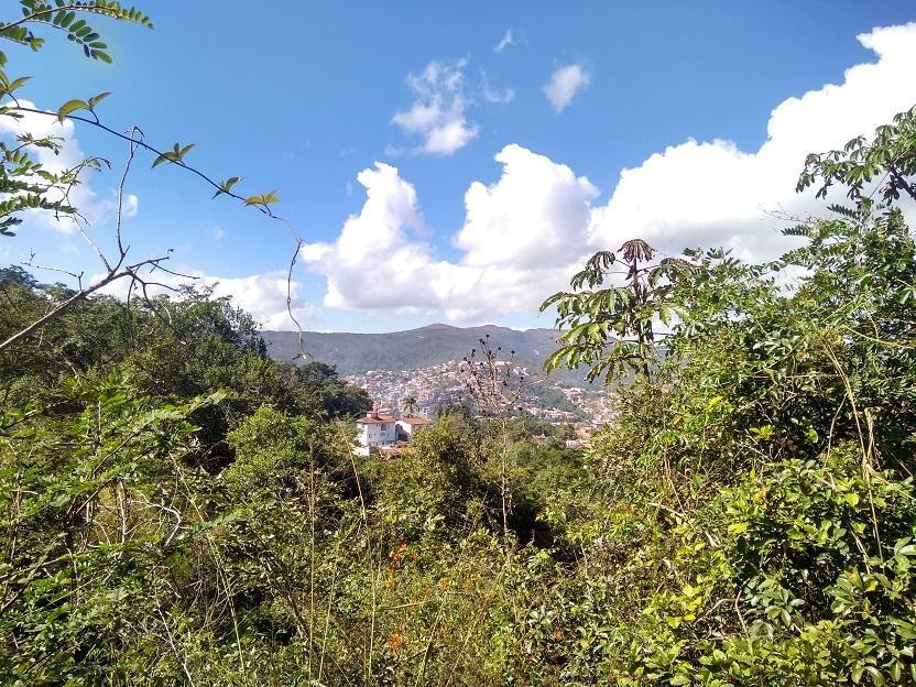Lote, Vila Esperança, 0 Quarto, 0 Vaga