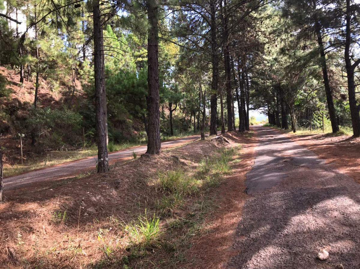 Lote, Village Sans Souci, 0 Quarto, 0 Vaga