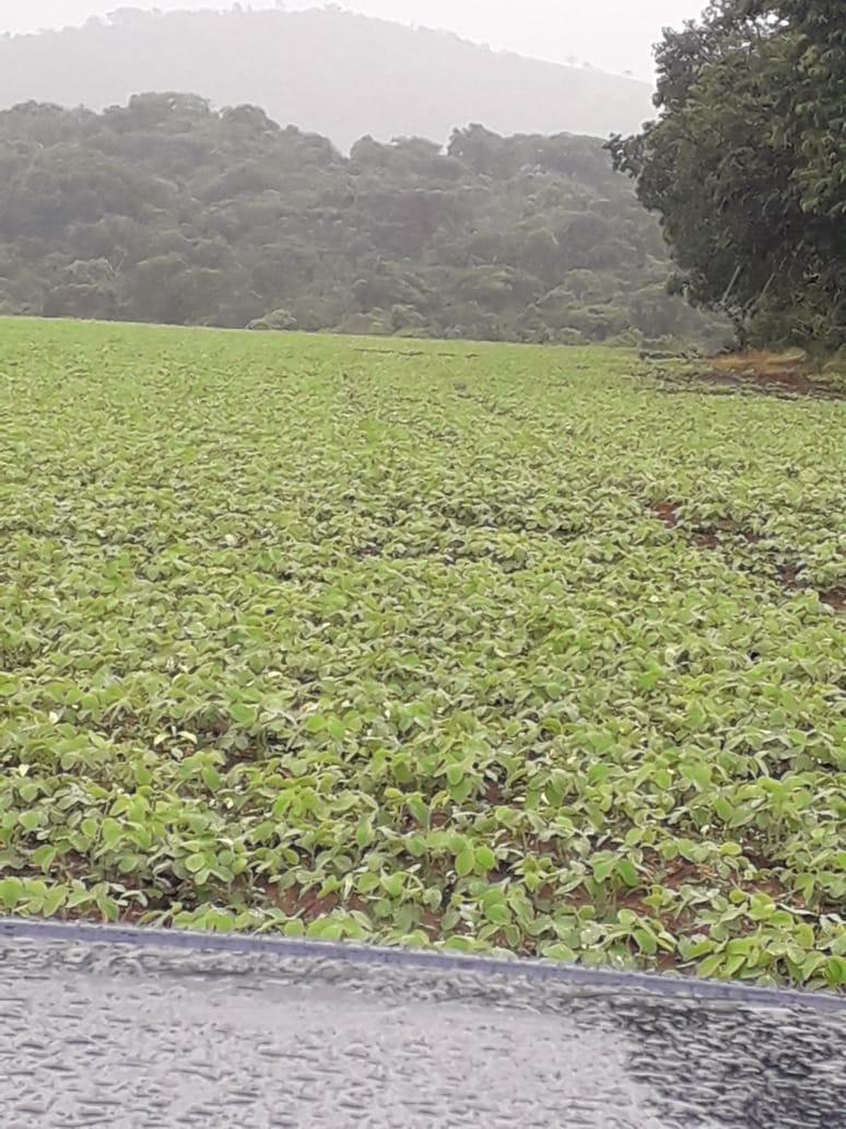 Fazenda, Centro, 1 Quarto, 1 Vaga, 1 Suíte