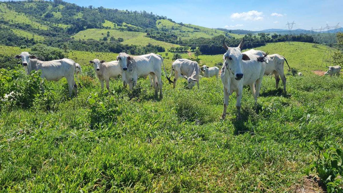 Fazenda, Zona Rural, 2 Quartos, 1 Vaga