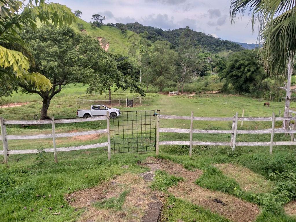 Fazenda, Centro, 0 Quarto, 0 Vaga