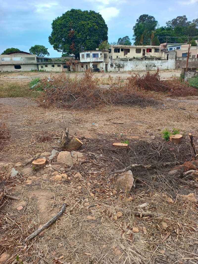 Lote, Fonte Grande, 0 Quarto, 0 Vaga