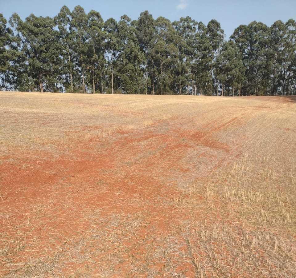 Fazenda, Zona Rural, 1 Quarto, 0 Vaga