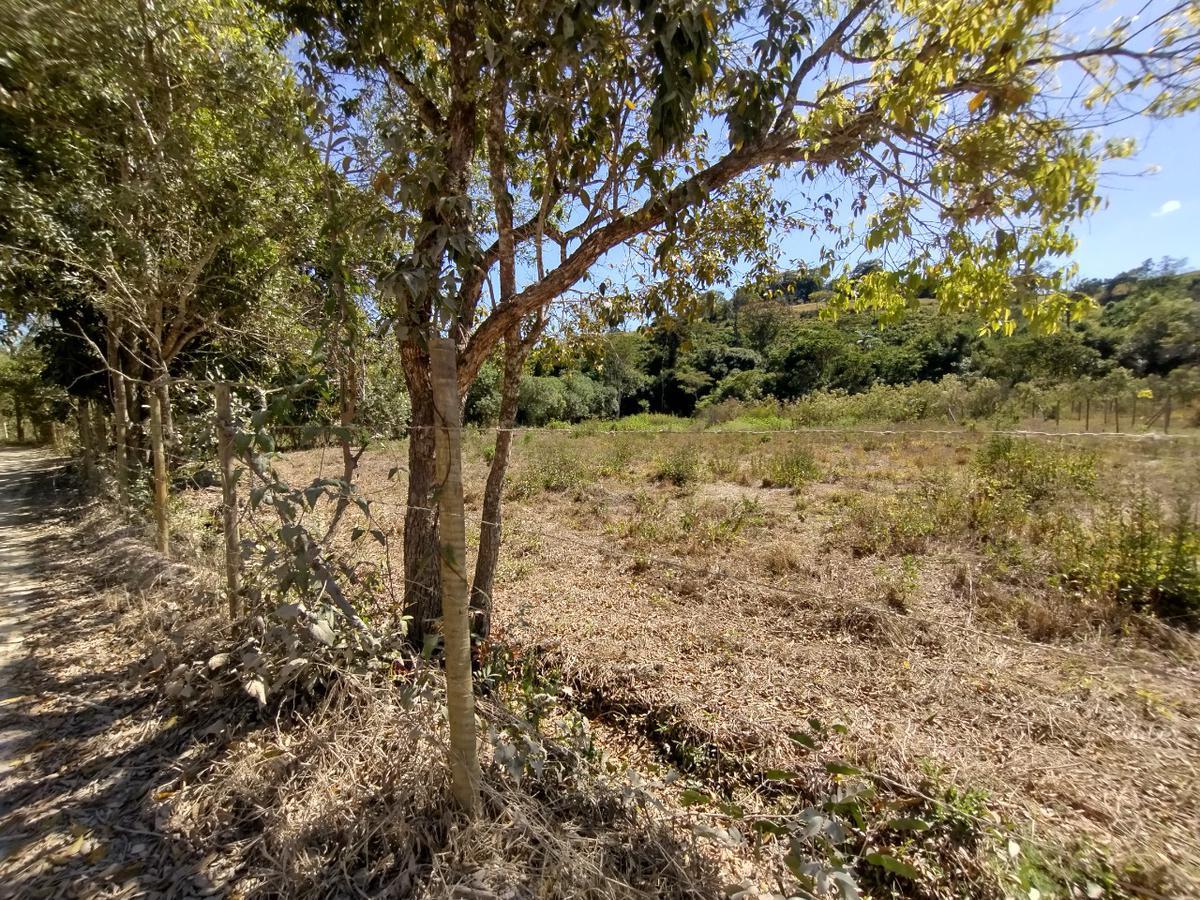 Lote, Zona Rural, 0 Quarto, 0 Vaga