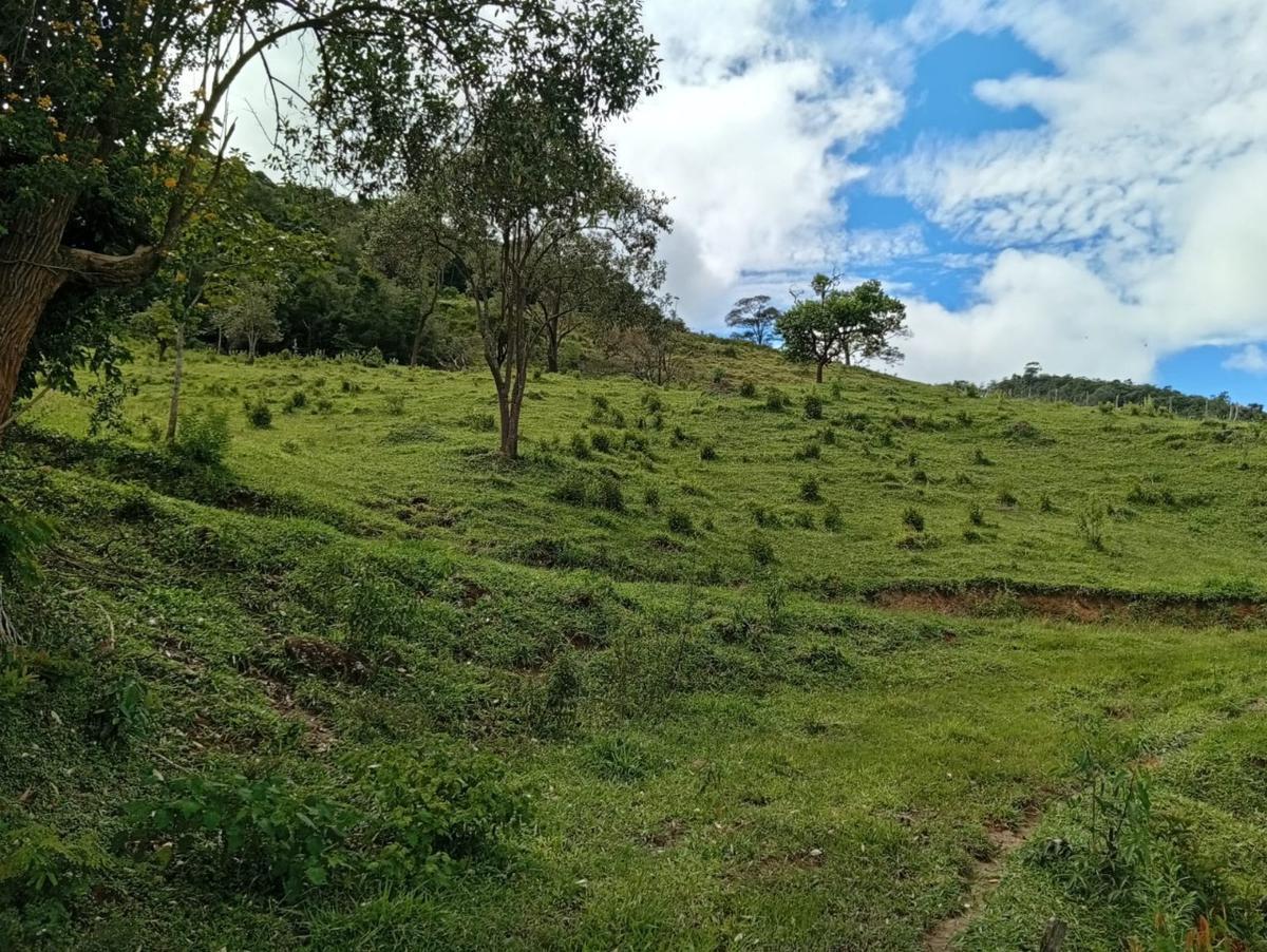 Fazenda, Centro, 3 Quartos, 10 Vagas, 1 Suíte