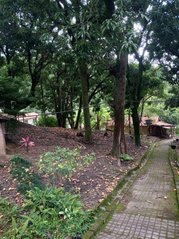 Fazenda, Jardim Rosario, 4 Quartos, 20 Vagas, 1 Suíte