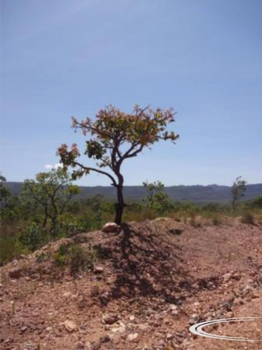 Fazenda, Zona Rural, 0 Quarto, 0 Vaga