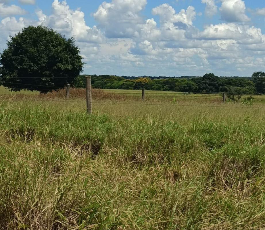 Fazenda, Zona Rural, 0 Quarto, 0 Vaga