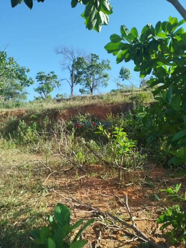 Fazenda, Bela Vista, 0 Quarto, 5 Vagas