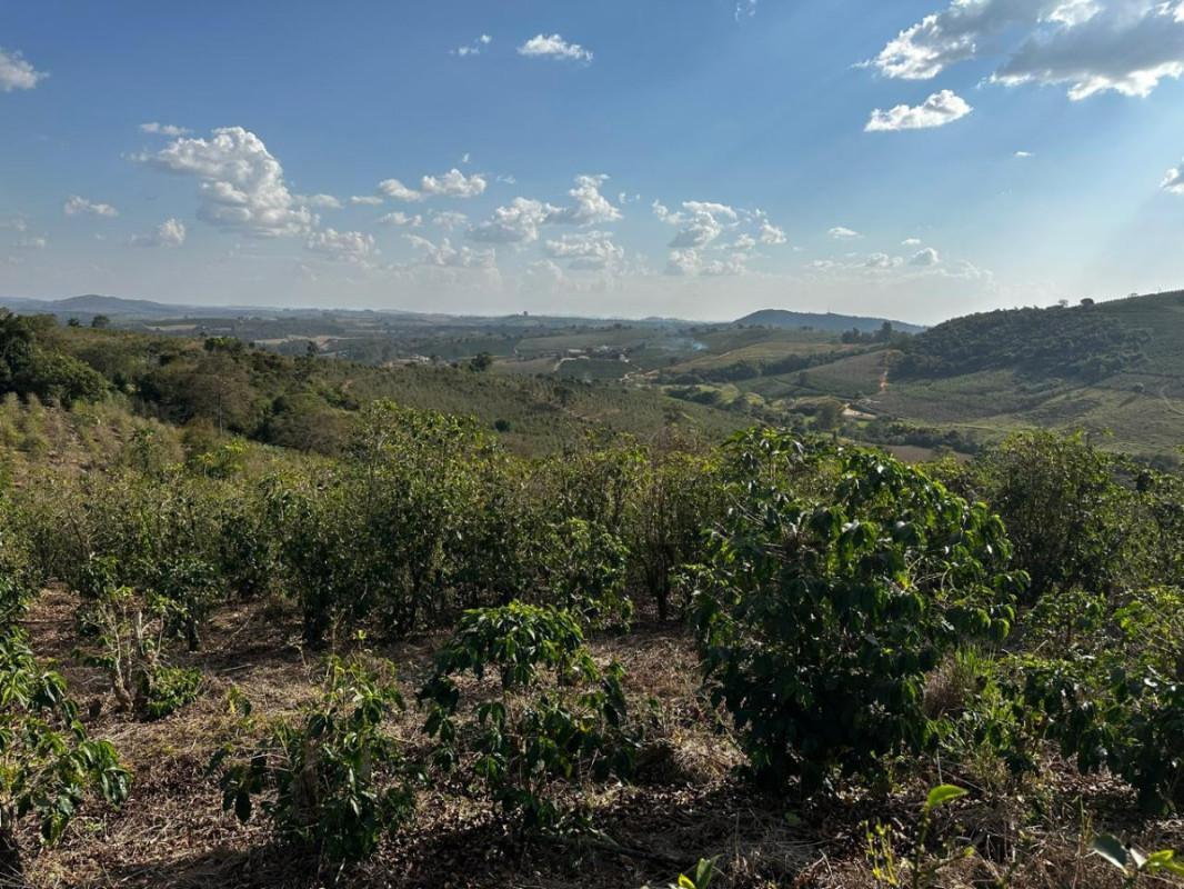 Fazenda, Centro, 0 Quarto, 0 Vaga