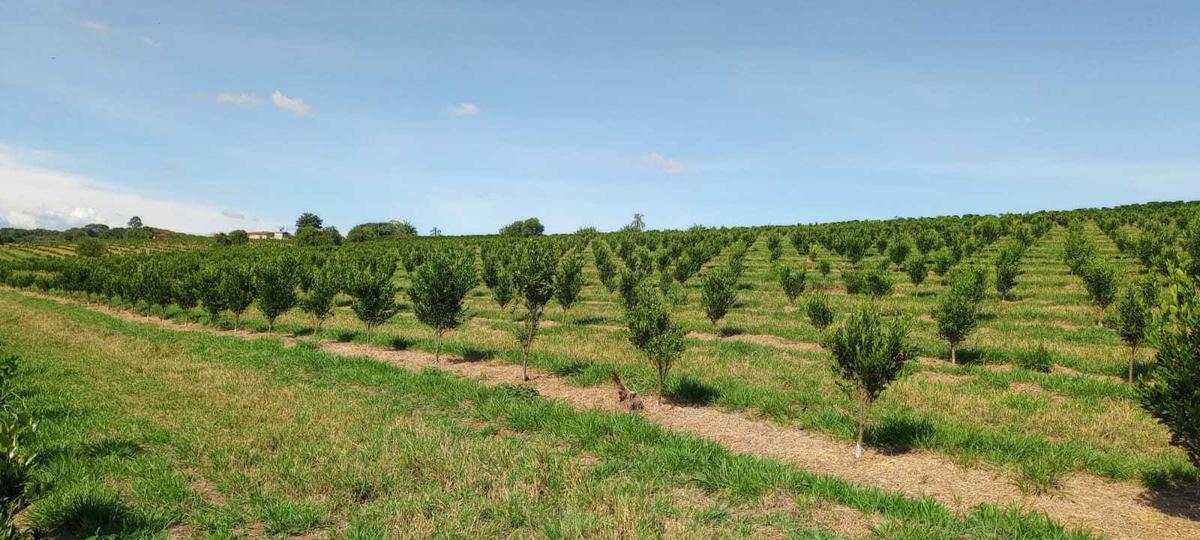Fazenda, Zona Rural, 3 Quartos, 0 Vaga
