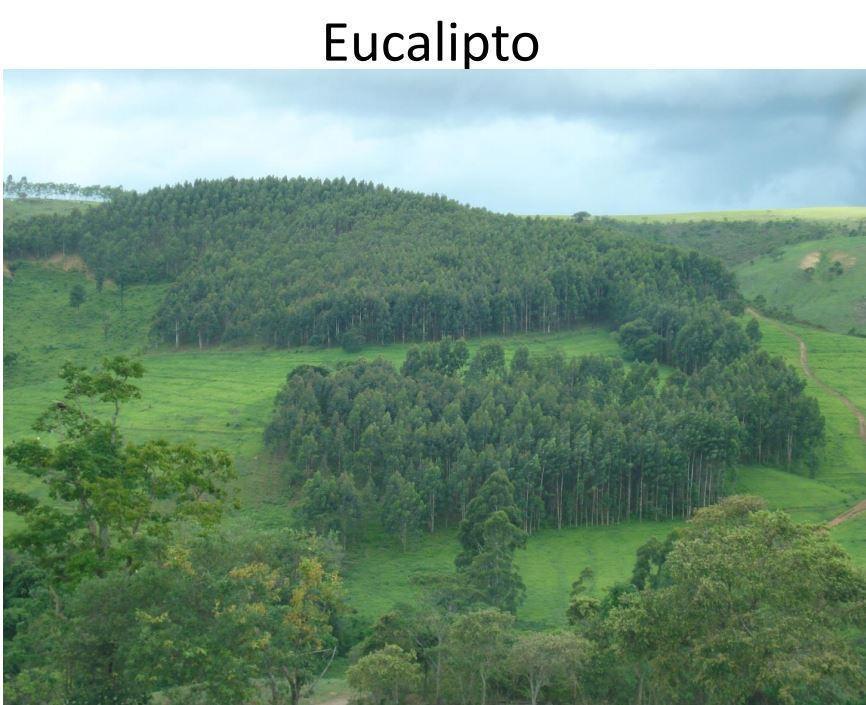 Fazenda, Zona Rural, 2 Quartos, 1 Vaga, 1 Suíte