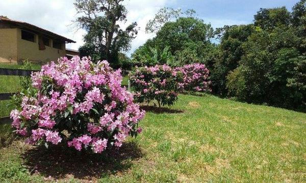Lote, Zona Rural