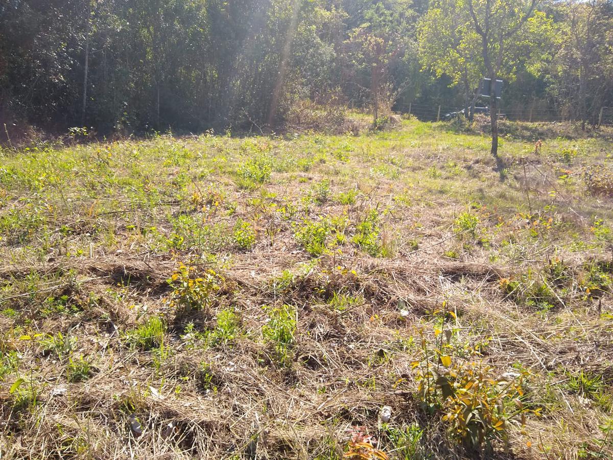 Lote, Zona Rural, 0 Quarto, 0 Vaga