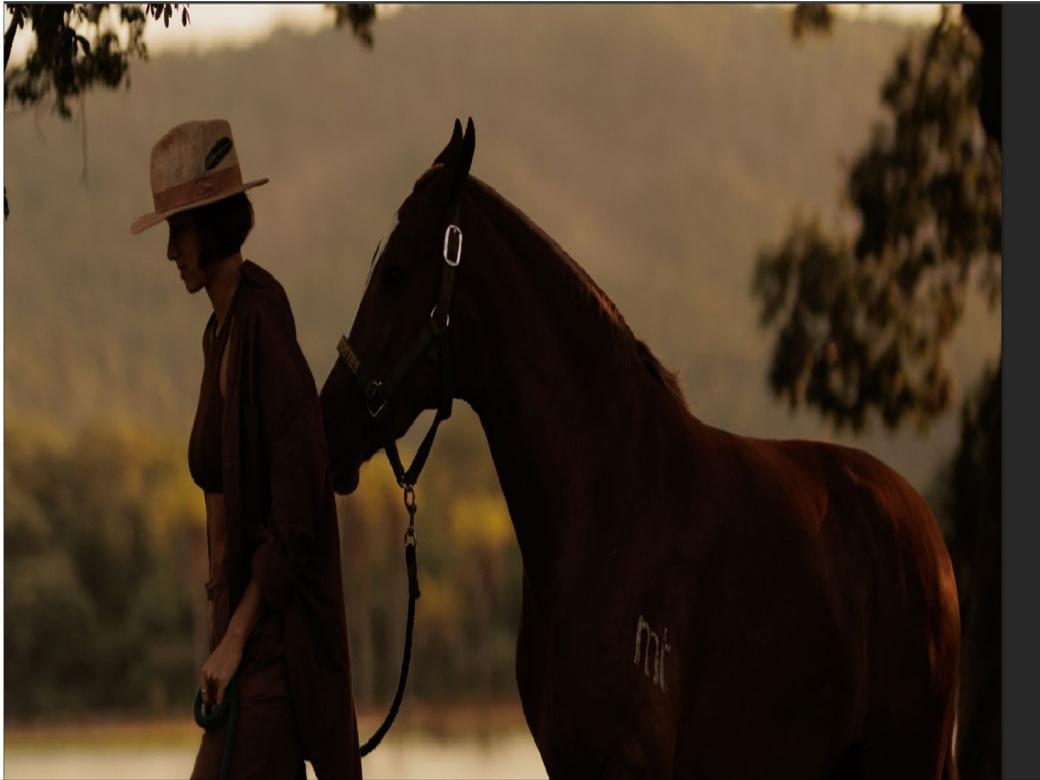 Lote, Acurui, 0 Quarto, 0 Vaga