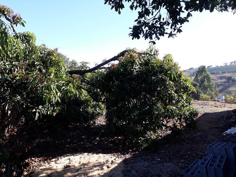 Lote, Centro, 0 Quarto, 0 Vaga