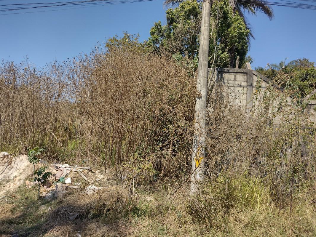 Lote, Chácara São Geraldo, 0 Quarto, 0 Vaga