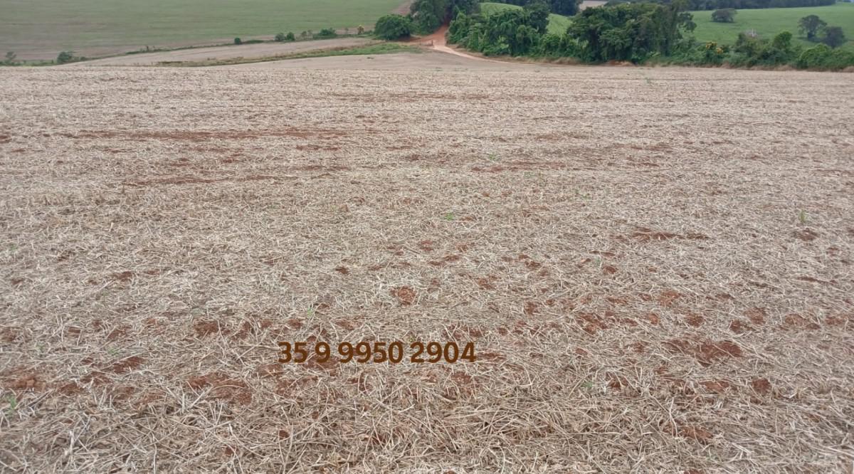 Fazenda, Centro, 0 Quarto, 0 Vaga
