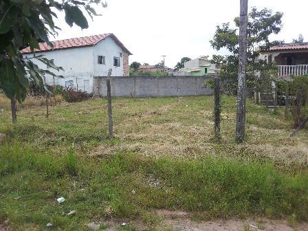 Lote, Tijuca