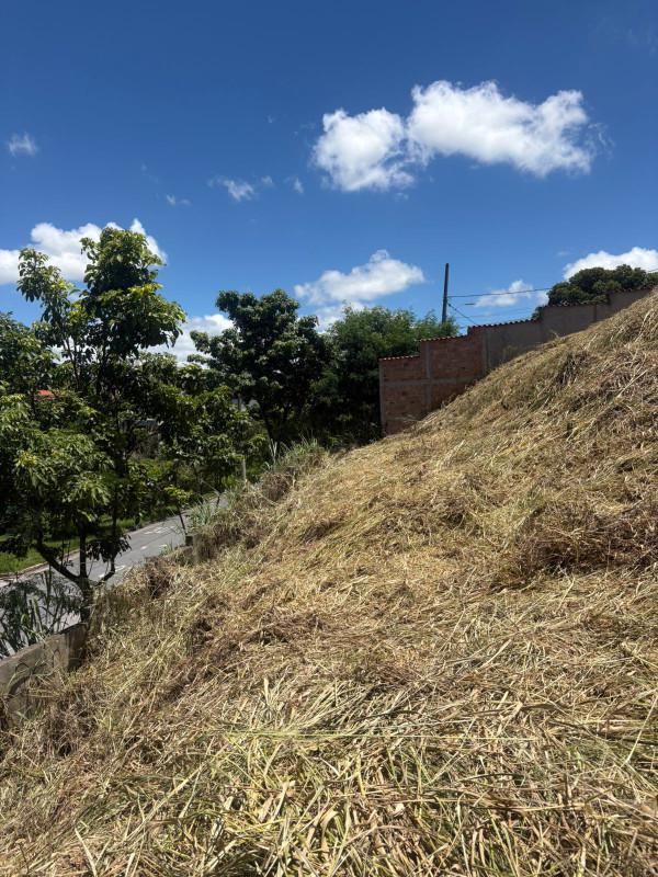 Lote, Santa Mônica, 0 Quarto, 0 Vaga