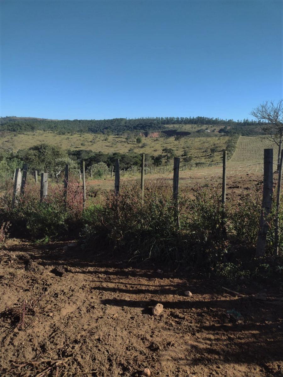 Fazenda, Centro, 1 Quarto, 0 Vaga