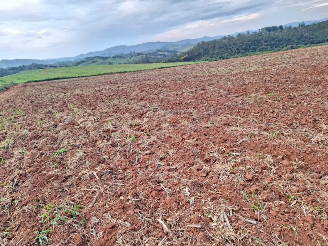 Fazenda, Zona Rural, 0 Quarto, 0 Vaga