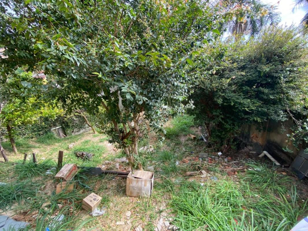 Lote, Aparecida, 0 Quarto, 0 Vaga