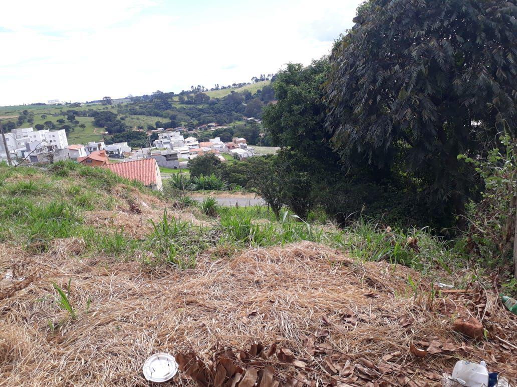 Lote, Vila Verde, 0 Quarto, 0 Vaga