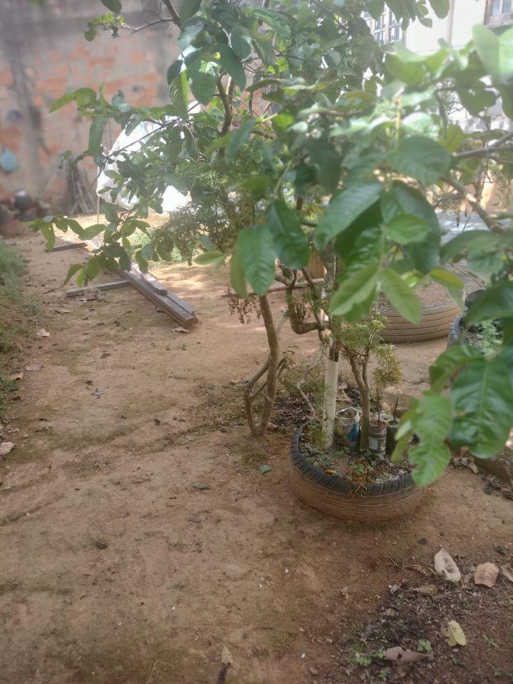 Casa, Europa, 5 Quartos, 6 Vagas, 4 Suítes