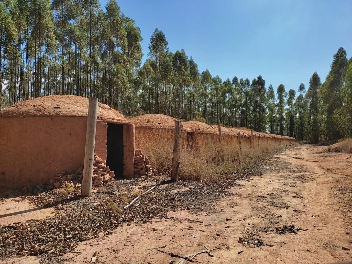 Lote, Penedo, 0 Quarto, 0 Vaga