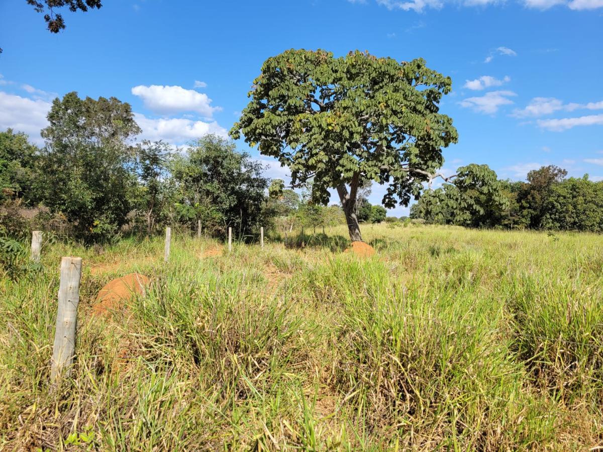Fazenda, Centro, 0 Quarto, 0 Vaga, 1 Suíte