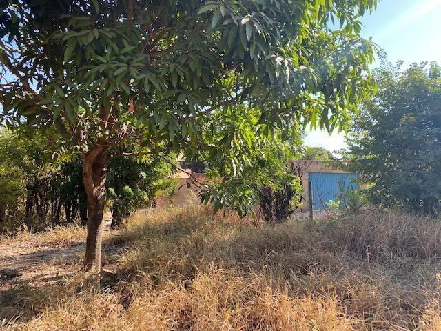Lote, São José, 0 Quarto, 0 Vaga