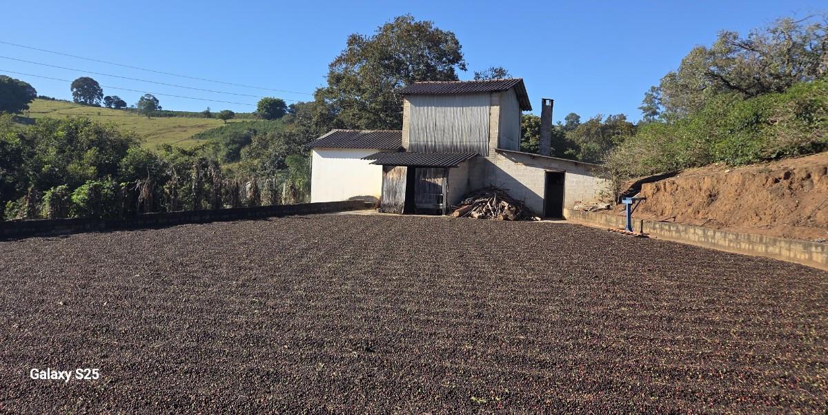 Fazenda, Zona Rural, 0 Quarto, 0 Vaga