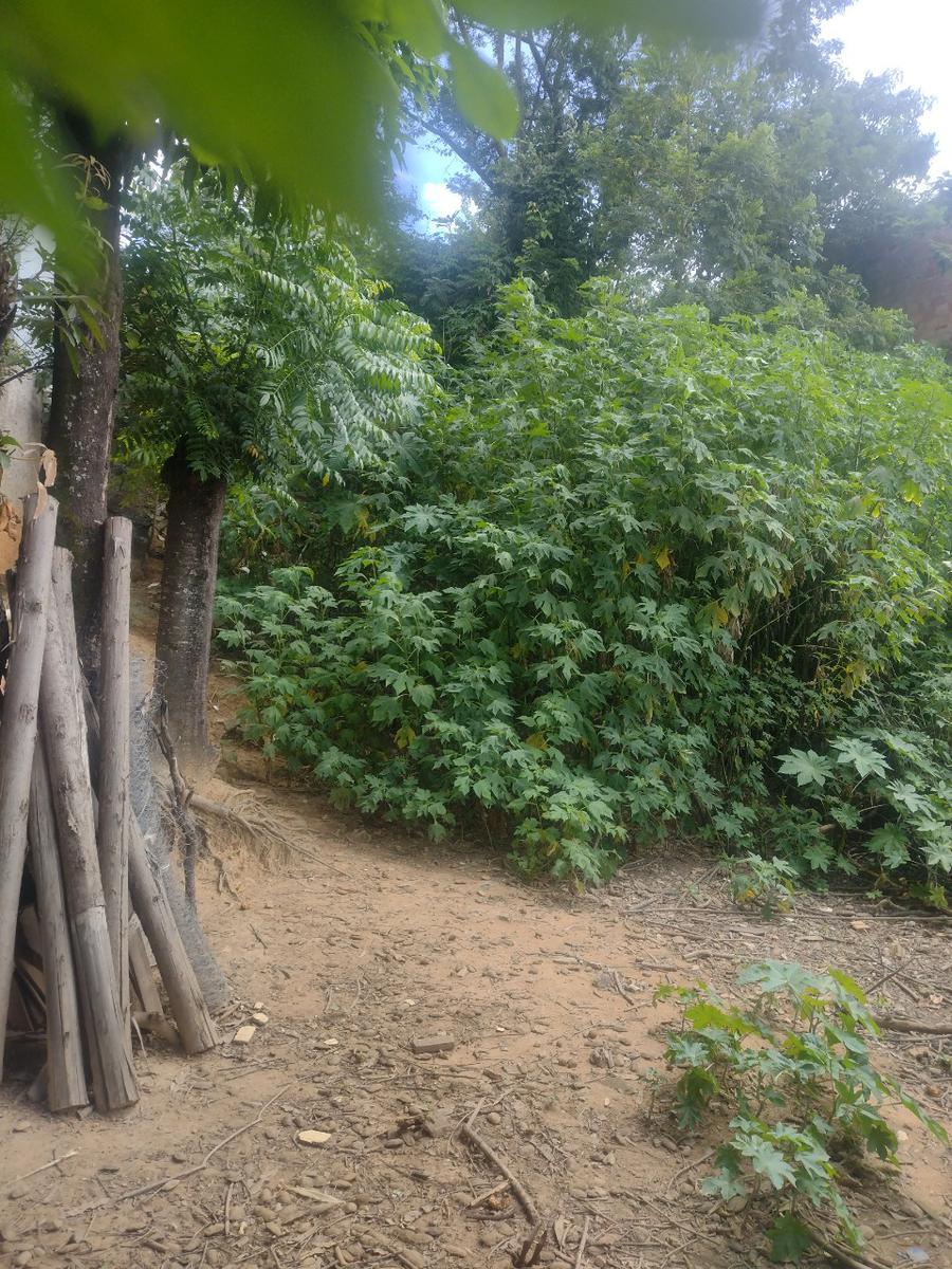 Lote, Colonial, 0 Quarto, 0 Vaga