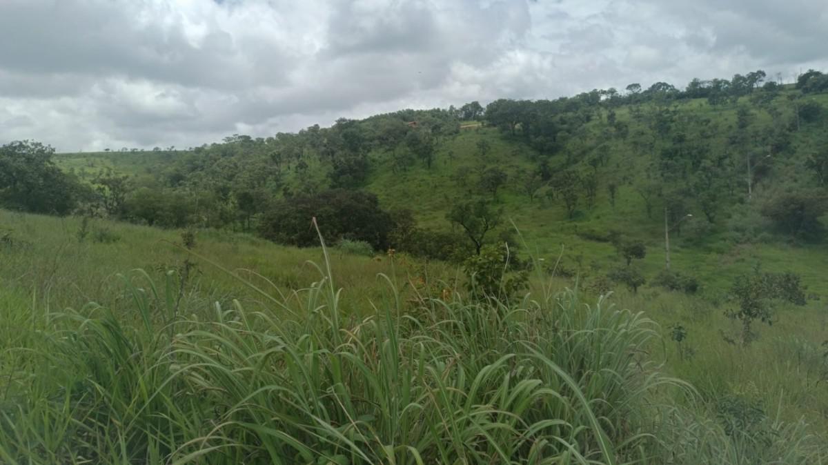 Lote, Presidente, 0 Quarto, 0 Vaga
