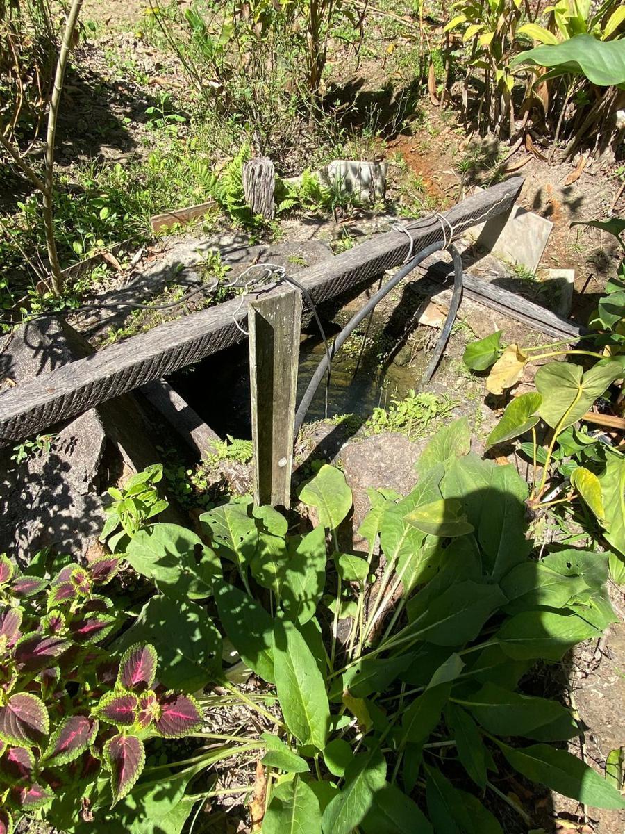 Fazenda, Vianópolis, 3 Quartos, 2 Vagas