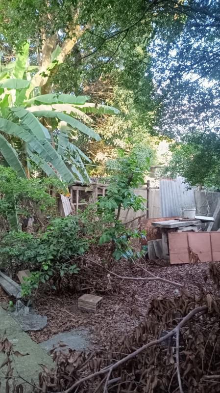 Lote, Pedra Azul, 0 Quarto, 0 Vaga